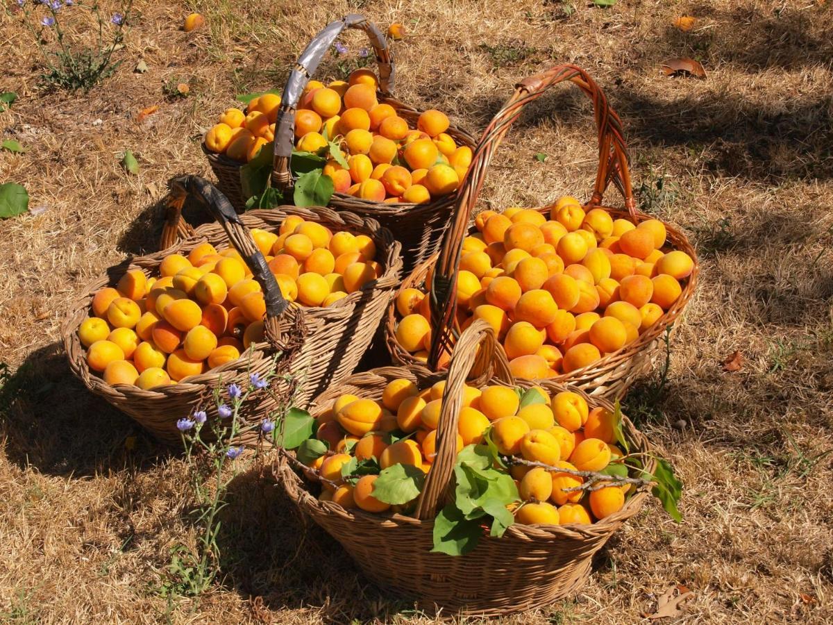 Agriturismo La Roverella Monteroni dʼArbia Εξωτερικό φωτογραφία